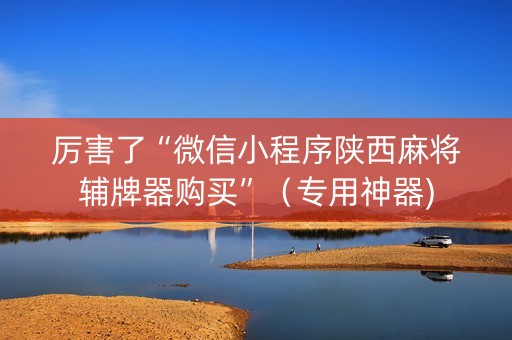 厉害了“微信小程序陕西麻将辅牌器购买”（专用神器)