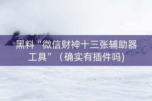 黑料“微信财神十三张辅助器工具”（确实有插件吗)