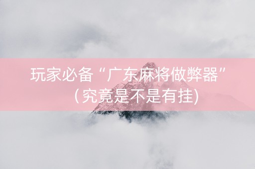 玩家必备“广东麻将做弊器”（究竟是不是有挂)