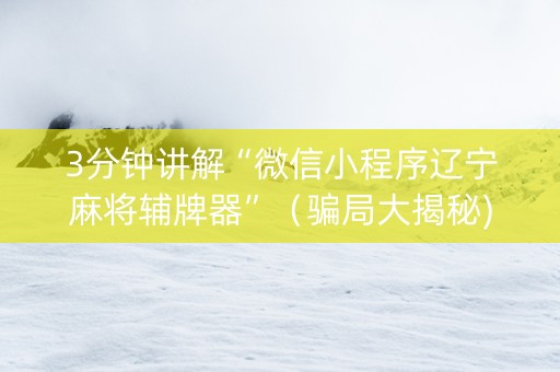 3分钟讲解“微信小程序辽宁麻将辅牌器”（骗局大揭秘)