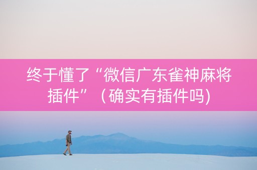 终于懂了“微信广东雀神麻将插件”（确实有插件吗)