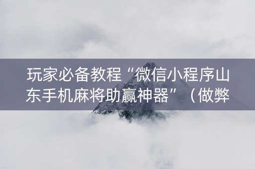 玩家必备教程“微信小程序山东手机麻将助赢神器”（做弊器软件下载)