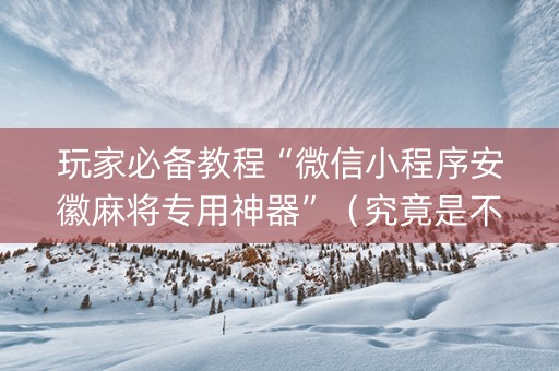 玩家必备教程“微信小程序安徽麻将专用神器”（究竟是不是有挂)