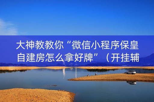 大神教教你“微信小程序保皇自建房怎么拿好牌”（开挂辅助插件)