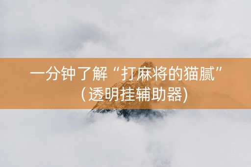一分钟了解“打麻将的猫腻”（透明挂辅助器)