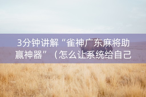 3分钟讲解“雀神广东麻将助赢神器”（怎么让系统给自己好牌)
