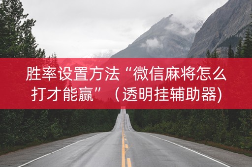 胜率设置方法“微信麻将怎么打才能赢”（透明挂辅助器)