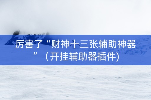 厉害了“财神十三张辅助神器”（开挂辅助器插件)