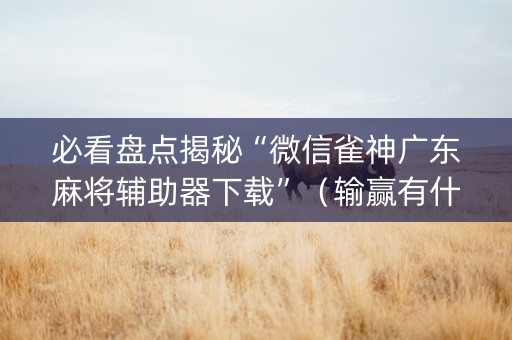 必看盘点揭秘“微信雀神广东麻将辅助器下载”（输赢有什么规律)