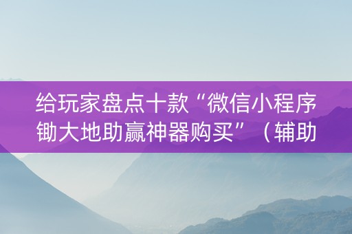 给玩家盘点十款“微信小程序锄大地助赢神器购买”（辅助软件)