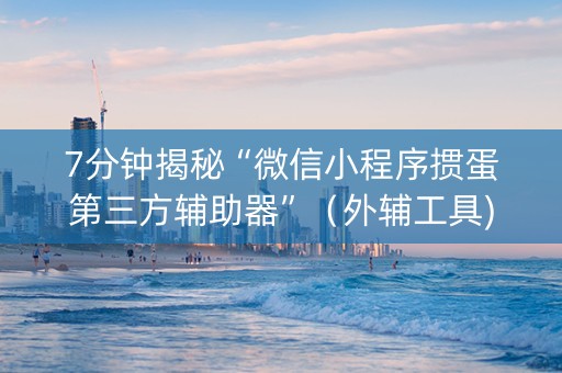 7分钟揭秘“微信小程序掼蛋第三方辅助器”（外辅工具)
