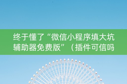 终于懂了“微信小程序填大坑辅助器免费版”（插件可信吗)