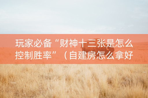 玩家必备“财神十三张是怎么控制胜率”（自建房怎么拿好牌)