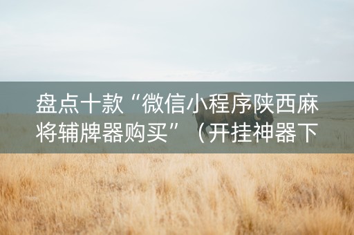 盘点十款“微信小程序陕西麻将辅牌器购买”（开挂神器下载)
