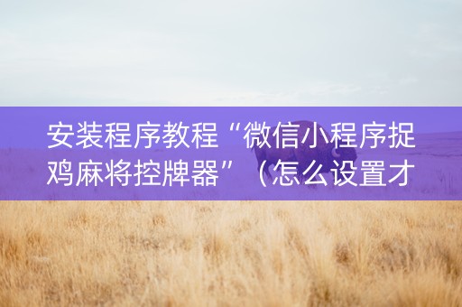 安装程序教程“微信小程序捉鸡麻将控牌器”（怎么设置才能赢)