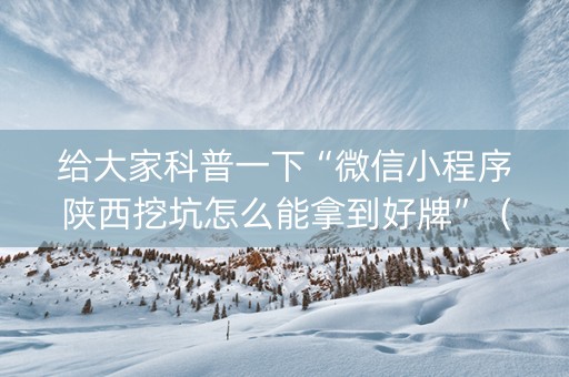 给大家科普一下“微信小程序陕西挖坑怎么能拿到好牌”（外辅工具)