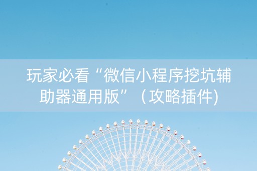 玩家必看“微信小程序挖坑辅助器通用版”（攻略插件)