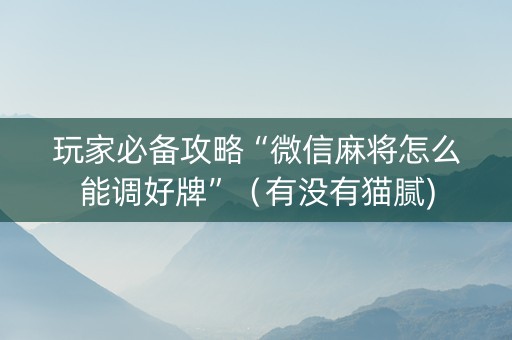 玩家必备攻略“微信麻将怎么能调好牌”（有没有猫腻)