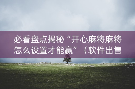 必看盘点揭秘“开心麻将麻将怎么设置才能赢”（软件出售)