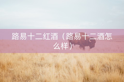 路易十二红酒（路易十二酒怎么样）