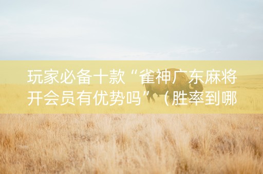玩家必备十款“雀神广东麻将开会员有优势吗”（胜率到哪调)
