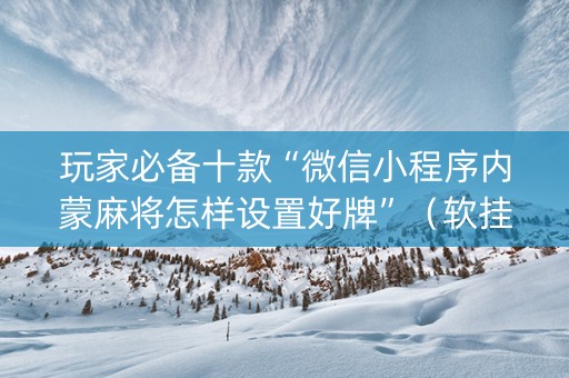玩家必备十款“微信小程序内蒙麻将怎样设置好牌”（软挂神器)