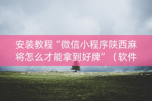 安装教程“微信小程序陕西麻将怎么才能拿到好牌”（软件出售)