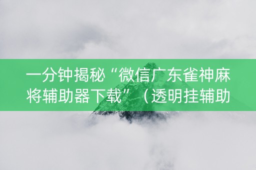 一分钟揭秘“微信广东雀神麻将辅助器下载”（透明挂辅助器)