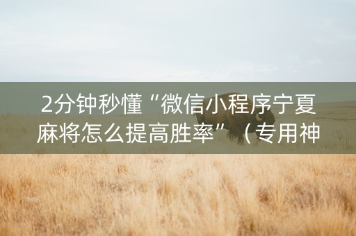 2分钟秒懂“微信小程序宁夏麻将怎么提高胜率”（专用神器)