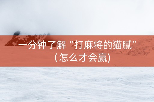 一分钟了解“打麻将的猫腻”（怎么才会赢)
