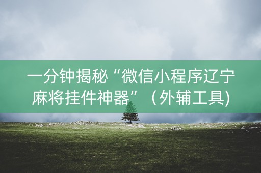 一分钟揭秘“微信小程序辽宁麻将挂件神器”（外辅工具)