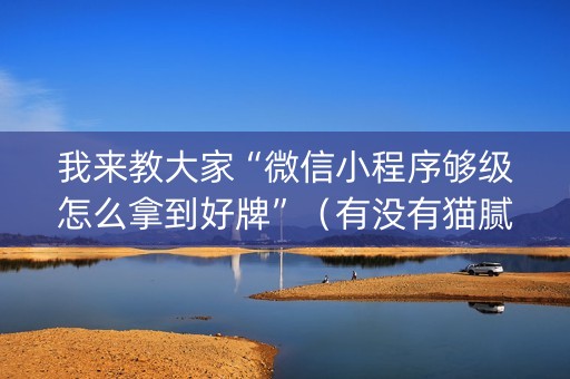 我来教大家“微信小程序够级怎么拿到好牌”（有没有猫腻)