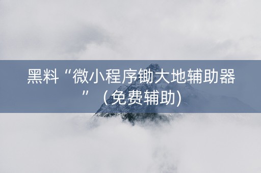 黑料“微小程序锄大地辅助器”（免费辅助)