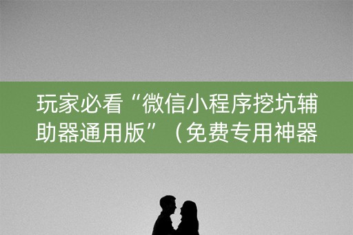 玩家必看“微信小程序挖坑辅助器通用版”（免费专用神器)