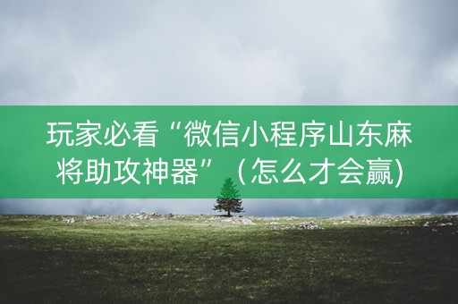玩家必看“微信小程序山东麻将助攻神器”（怎么才会赢)