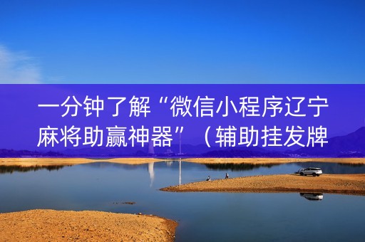 一分钟了解“微信小程序辽宁麻将助赢神器”（辅助挂发牌规律)