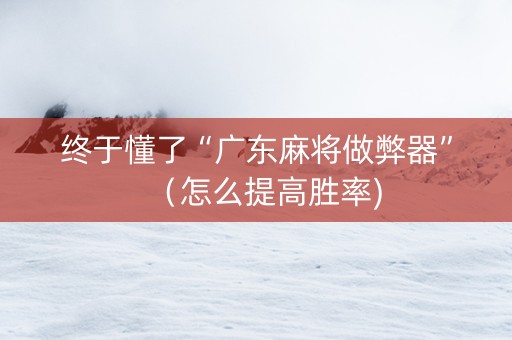 终于懂了“广东麻将做弊器”（怎么提高胜率)