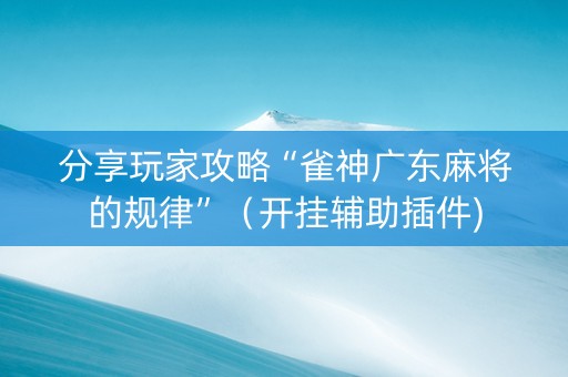 分享玩家攻略“雀神广东麻将的规律”（开挂辅助插件)