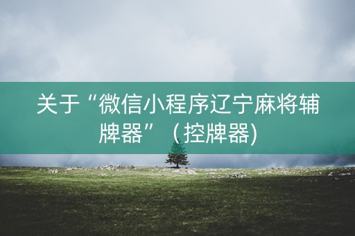关于“微信小程序辽宁麻将辅牌器”（控牌器)