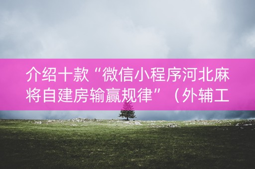 介绍十款“微信小程序河北麻将自建房输赢规律”（外辅工具)