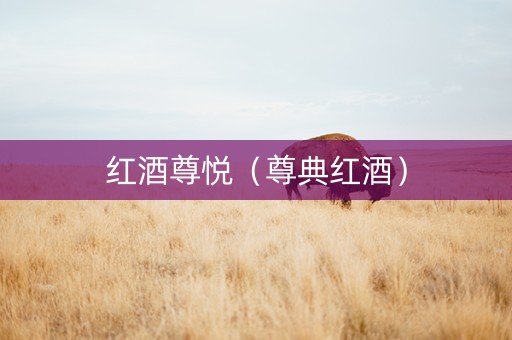 红酒尊悦（尊典红酒）