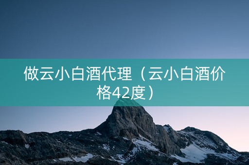做云小白酒代理（云小白酒价格42度）