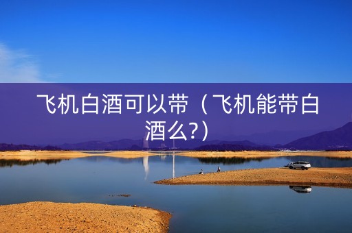 飞机白酒可以带（飞机能带白酒么?）