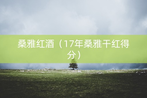 桑雅红酒（17年桑雅干红得分）