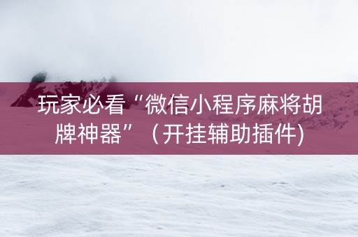 玩家必看“微信小程序麻将胡牌神器”（开挂辅助插件)