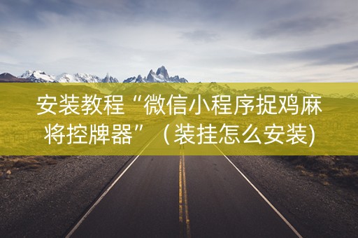 安装教程“微信小程序捉鸡麻将控牌器”（装挂怎么安装)