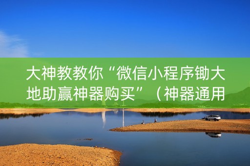 大神教教你“微信小程序锄大地助赢神器购买”（神器通用版)