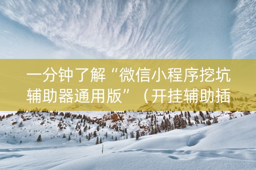 一分钟了解“微信小程序挖坑辅助器通用版”（开挂辅助插件)