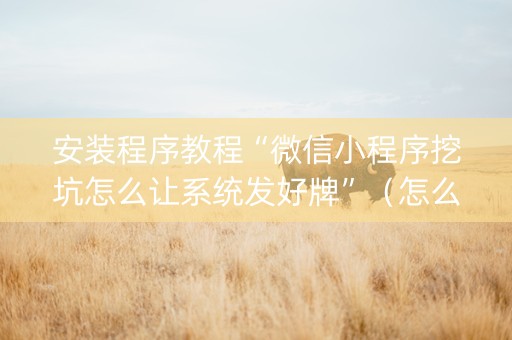 安装程序教程“微信小程序挖坑怎么让系统发好牌”（怎么能让牌好一点)