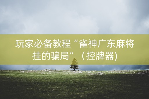 玩家必备教程“雀神广东麻将挂的骗局”（控牌器)